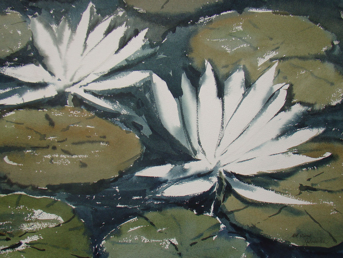 Water Lily